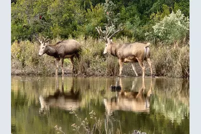7413 Quail Hollow Court, LaRue, TX 75770 - Photo 9