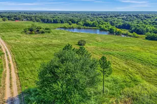 1200 Co Rd 1215, Savoy, TX 75479 - Photo 33