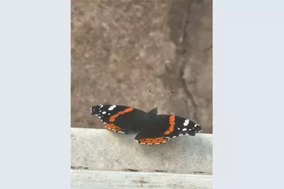 432 Clark Road, Abilene, TX 79602 - Photo 15