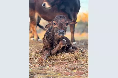 432 Clark Road, Abilene, TX 79602 - Photo 17