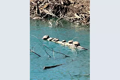 432 Clark Road, Abilene, TX 79602 - Photo 13