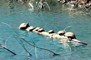 432 Clark Rd, Abilene, TX 79602 - Photo 13