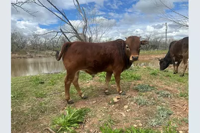 432 Clark Road, Abilene, TX 79602 - Photo 9