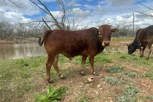 432 Clark Rd, Abilene, TX 79602 - Photo 9