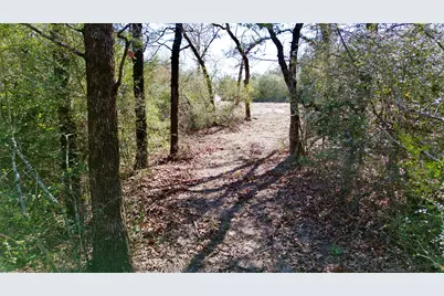 100 Pr 617, Kosse, TX 76653 - Photo 17