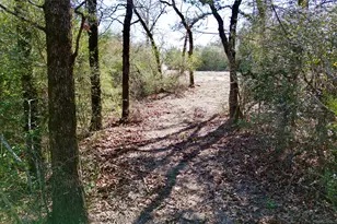 100 Pr 617, Kosse, TX 76653 - Photo 17