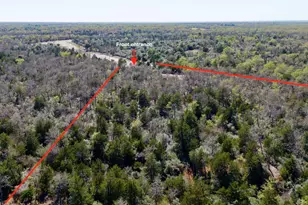 100 Pr 617, Kosse, TX 76653 - Photo 3