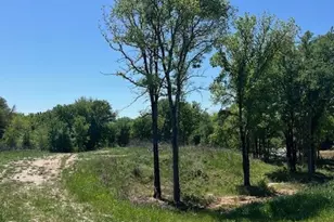 1004 Bermes Ct, Brock, TX 76087 - Photo 1