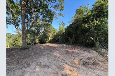 0 N Prairieville, Athens, TX 75751 - Photo 3