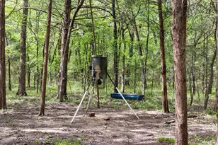 2117 Red Cedar Trail, Greenville, TX 75402 - Photo 35