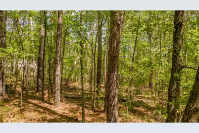 1723 Pineview Lane, Hideaway, TX 75771 - Photo 15
