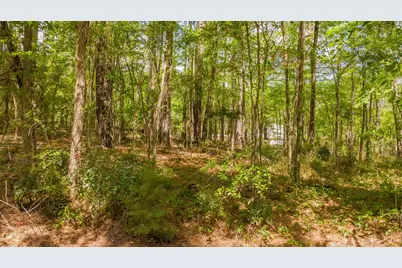 1723 Pineview Lane, Hideaway, TX 75771 - Photo 21