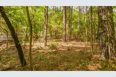 1723 Pineview Lane, Hideaway, TX 75771 - Photo 23