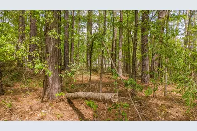 1723 Pineview Lane, Hideaway, TX 75771 - Photo 13