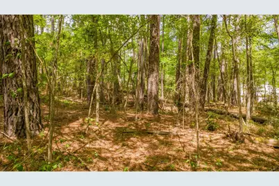 1723 Pineview Lane, Hideaway, TX 75771 - Photo 3