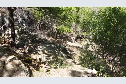 324 Glenhollow Drive, Gordon, TX 76453 - Photo 23