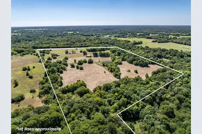 3139 Farm Road 3134, Cumby, TX 75433 - Photo 5