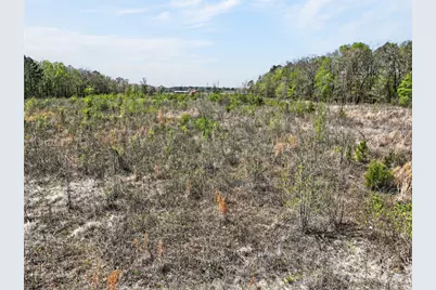 55+/- Acres County Road 4223, Simms, TX 75574 - Photo 13