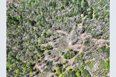 55+/- Acres County Road 4223, Simms, TX 75574 - Photo 7