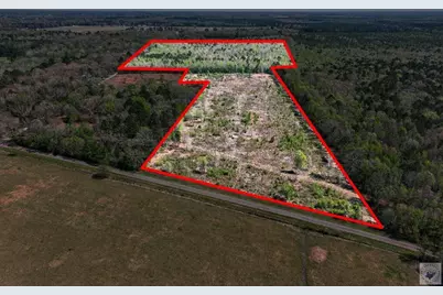 55+/- Acres County Road 4223, Simms, TX 75574 - Photo 1