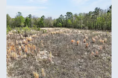 55+/- Acres County Road 4223, Simms, TX 75574 - Photo 11