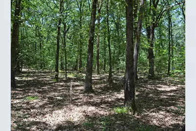 Tbd County Road 14590, Pattonville, TX 75468 - Photo 3