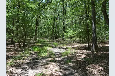 Tbd County Road 14590, Pattonville, TX 75468 - Photo 1