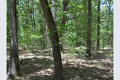 Tbd County Road 14590, Pattonville, TX 75468 - Photo 5