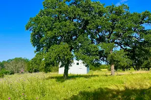 Lot 55 & 56 Kilkenny Rd, Poolville, TX 76487 - Photo 1