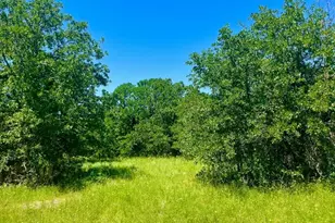 Lot 34 Galway Rd, Poolville, TX 76487 - Photo 1