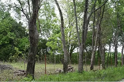 00000 County Road 4910, Trenton, TX 75490 - Photo 5