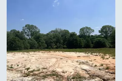 Lot 45 Antrim Ct, Poolville, TX 76487 - Photo 3