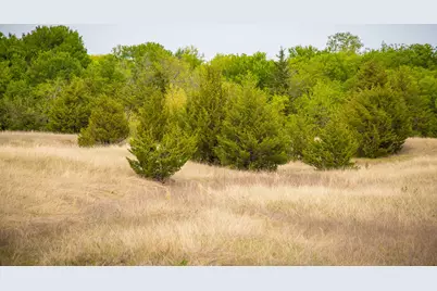 Lot 1 Pr 291, Dodd City, TX 75438 - Photo 11