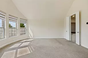 904 Lady Bird Dr, McKinney, TX 75071 - Photo 19