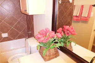 12567 Hawk Creek Dr, Frisco, TX 75033 - Photo 21