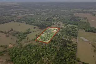 875 Co Rd 4360, Scroggins, TX 75480 - Photo 39