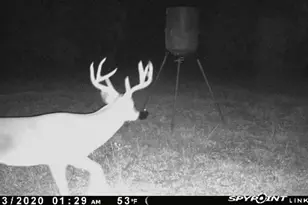 15301 Co Rd 4018, Kemp, TX 75143 - Photo 27