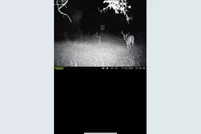 15301 County Road 4018, Kemp, TX 75143 - Photo 29