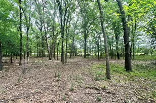 430 Co Rd 3311, Sulphur Springs, TX 75482 - Photo 33