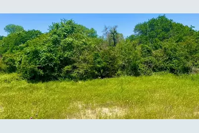 Lot 48 Antrim Court, Poolville, TX 76487 - Photo 3