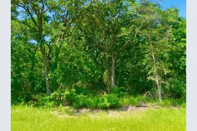 Lot 48 Antrim Court, Poolville, TX 76487 - Photo 1