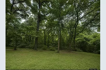 Tbd Cr 4510, Winnsboro, TX 75494 - Photo 9