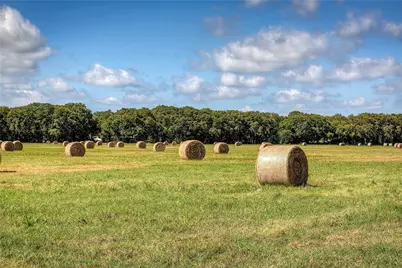 Lot 2 County Road 120, Wills Point, TX 75169 - Photo 11