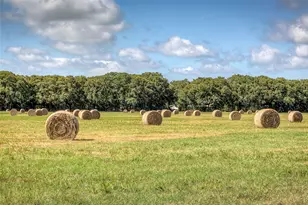 3812 Co Rd 120, Wills Point, TX 75169 - Photo 1