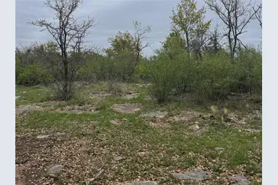 Tbd Co Rd 369, Carbon, TX 76435 - Photo 9
