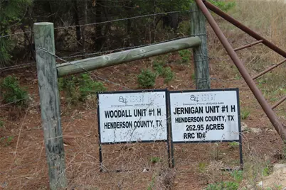 0 Cr-4600, Athens, TX 75752 - Photo 19