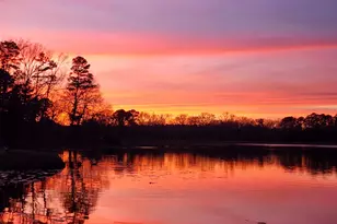 313 Pr 8693, Winnsboro, TX 75783 - Photo 29