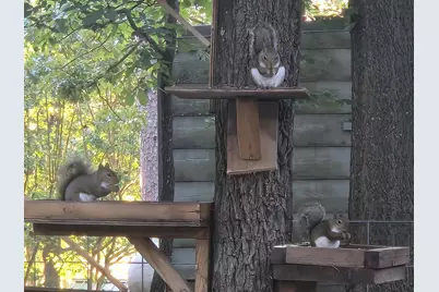 313 Pr 8693, Winnsboro, TX 75783 - Photo 27