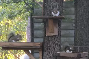 313 Pr 8693, Winnsboro, TX 75783 - Photo 27