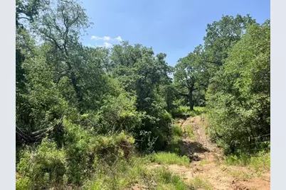Lot 44 Antrim Court, Poolville, TX 76487 - Photo 3